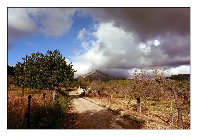 Winter auf Mallorca (2)