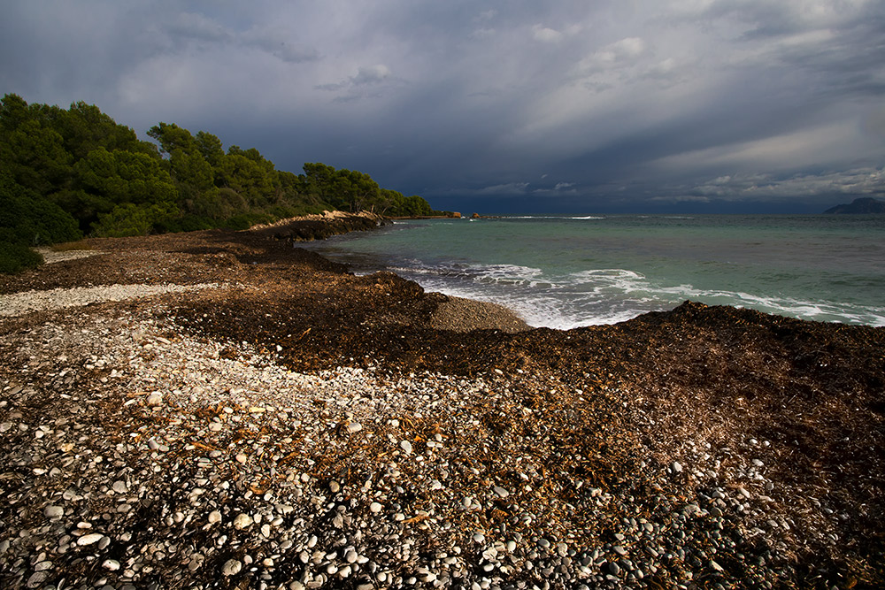 Winter auf Mallorca 2