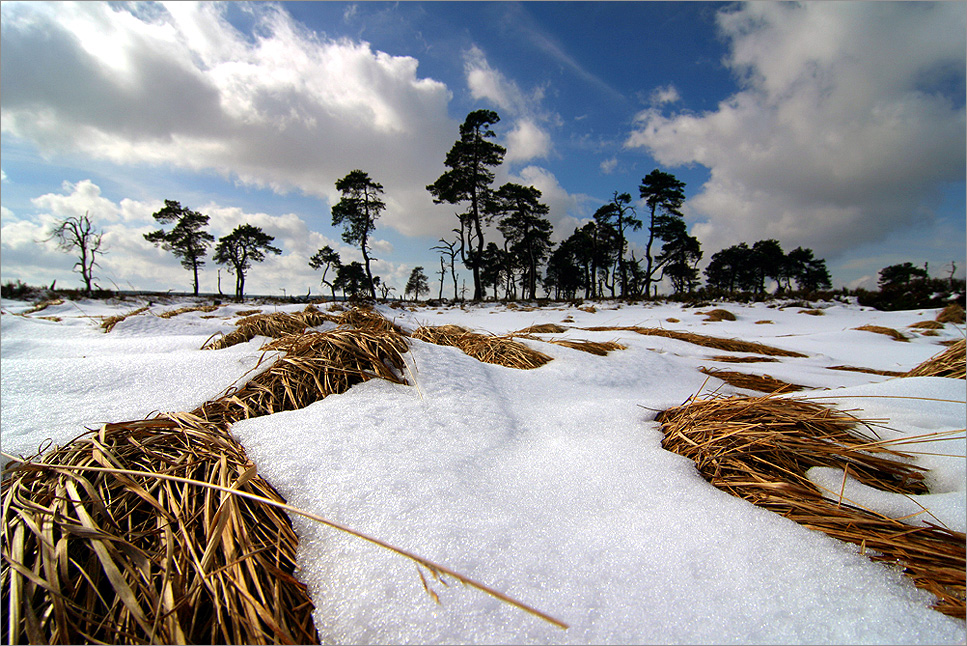 Winter auf Noir Flohay