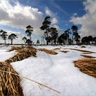 Winter auf Noir Flohay