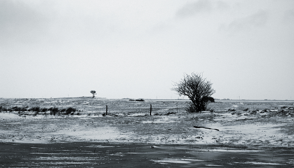 Winter auf Norderney