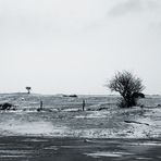 Winter auf Norderney