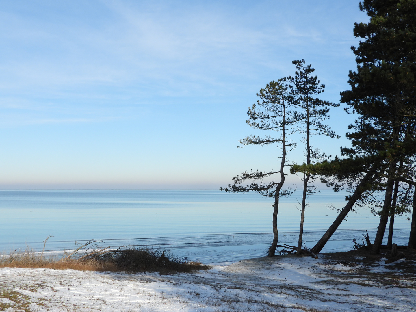 Winter auf Nordfünen