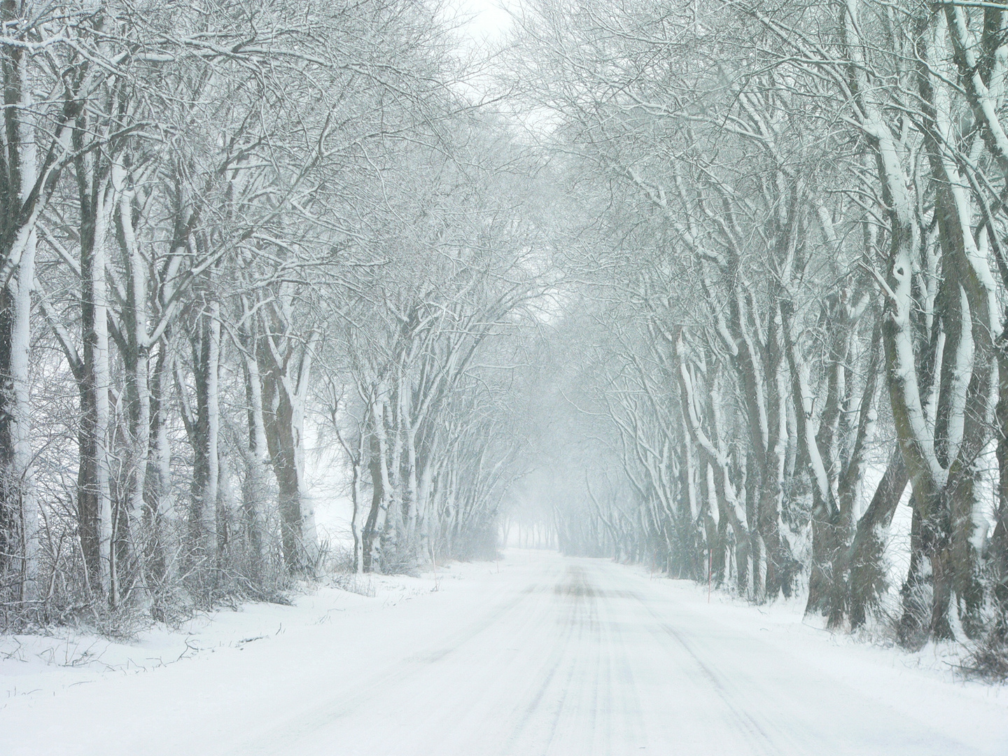 Winter auf Öland