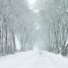 Winter auf Öland