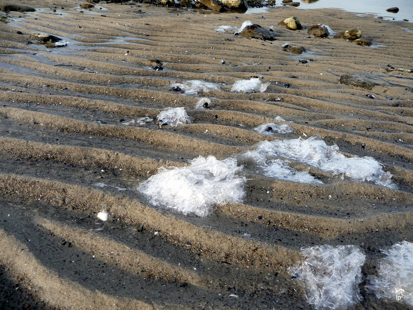 winter auf poel