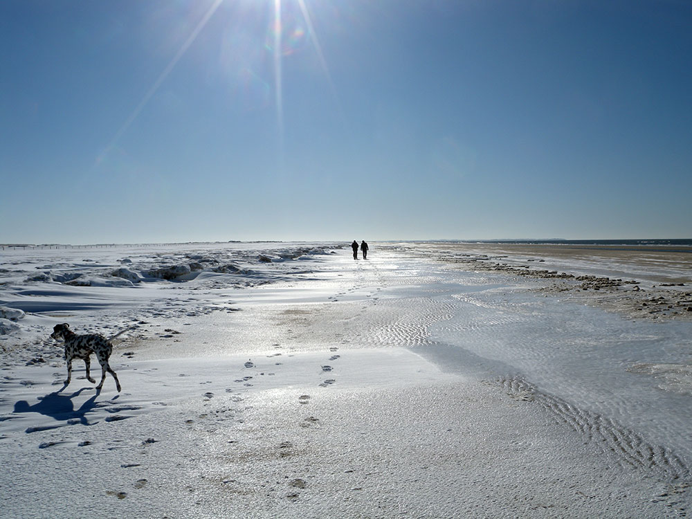 Winter auf Römö