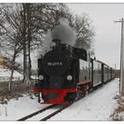 Winter auf Rügen