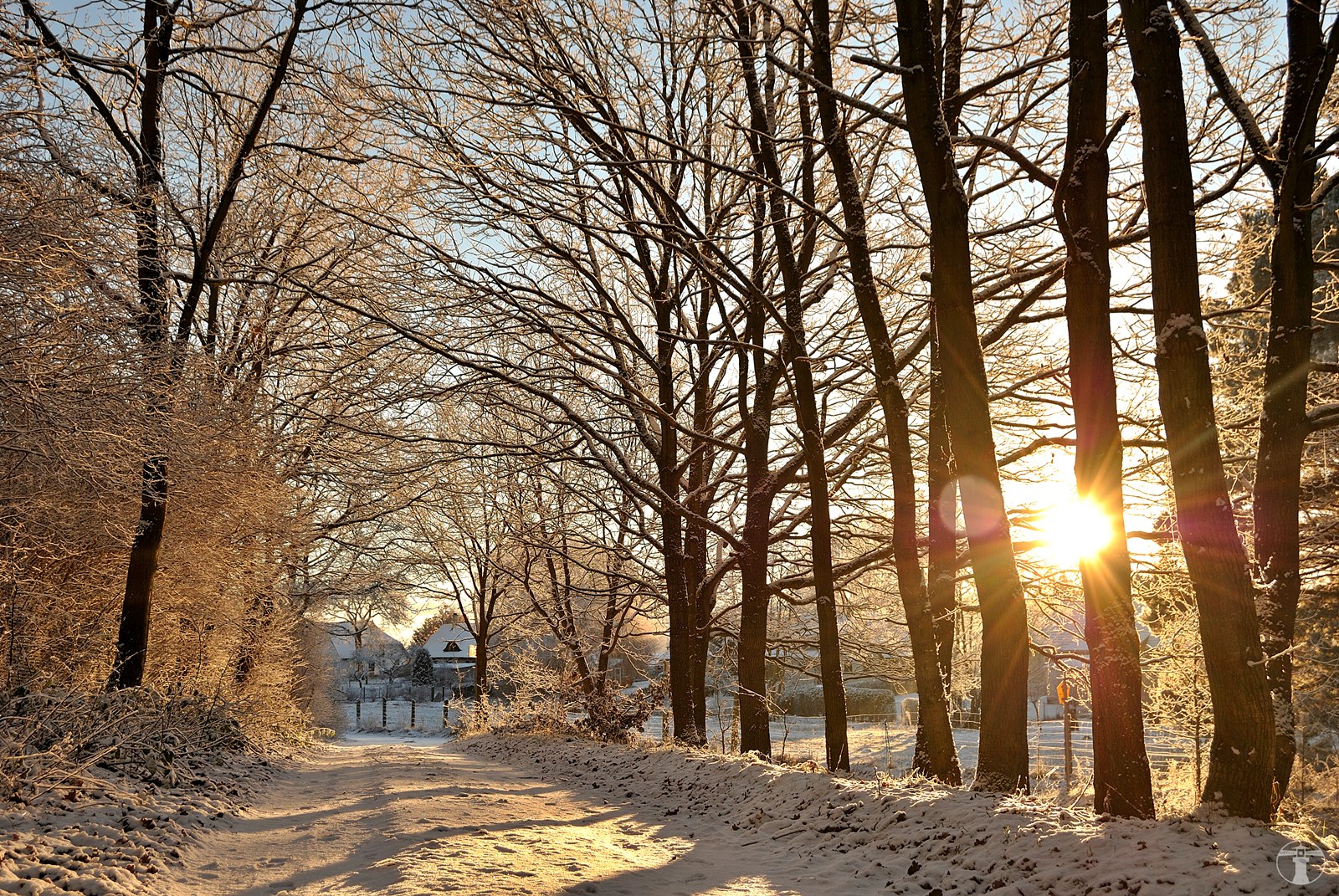 Winter auf Rügen