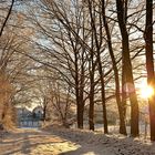 Winter auf Rügen