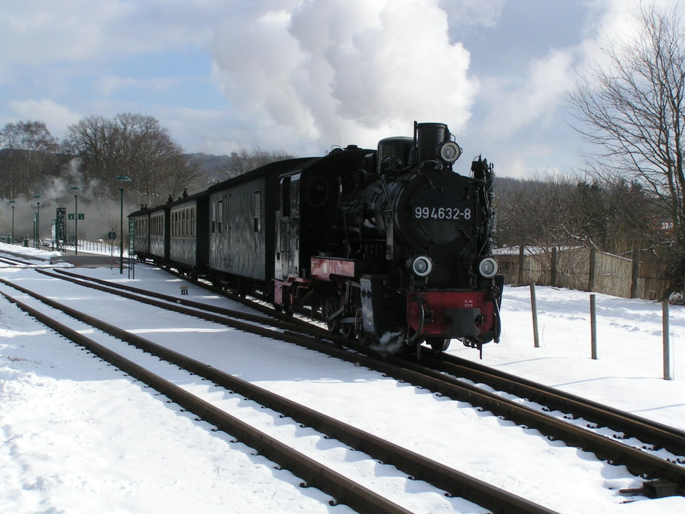 Winter auf Rügen