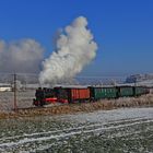 Winter auf Rügen