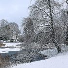 Winter auf Rügen