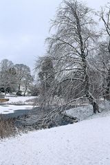 Winter auf Rügen