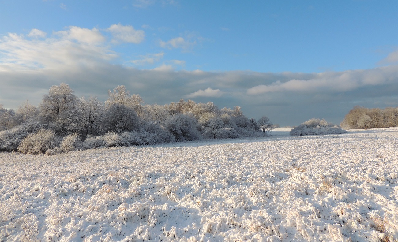 winter auf rügen