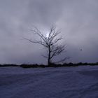 Winter auf Rügen