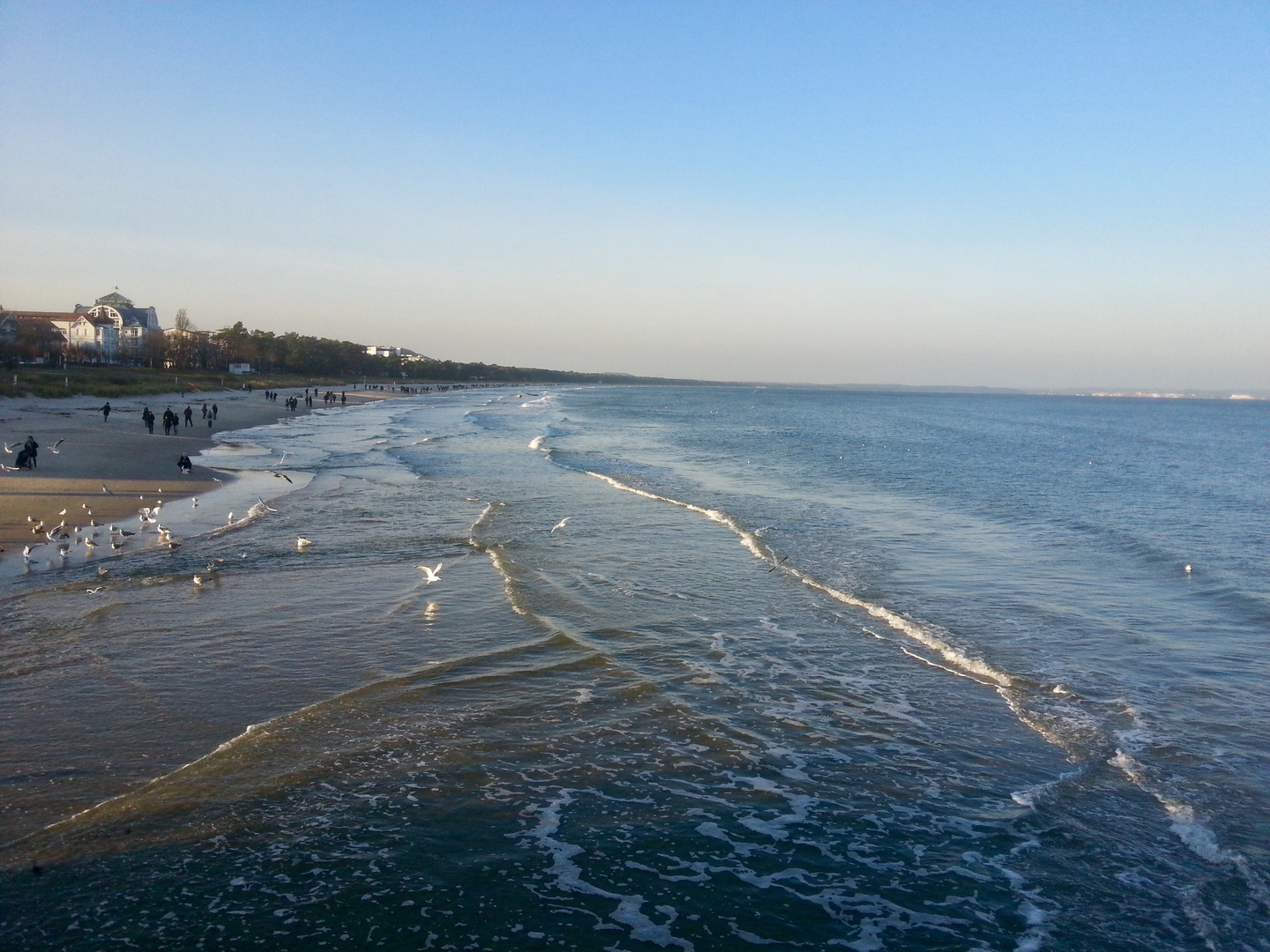 Winter auf Rügen