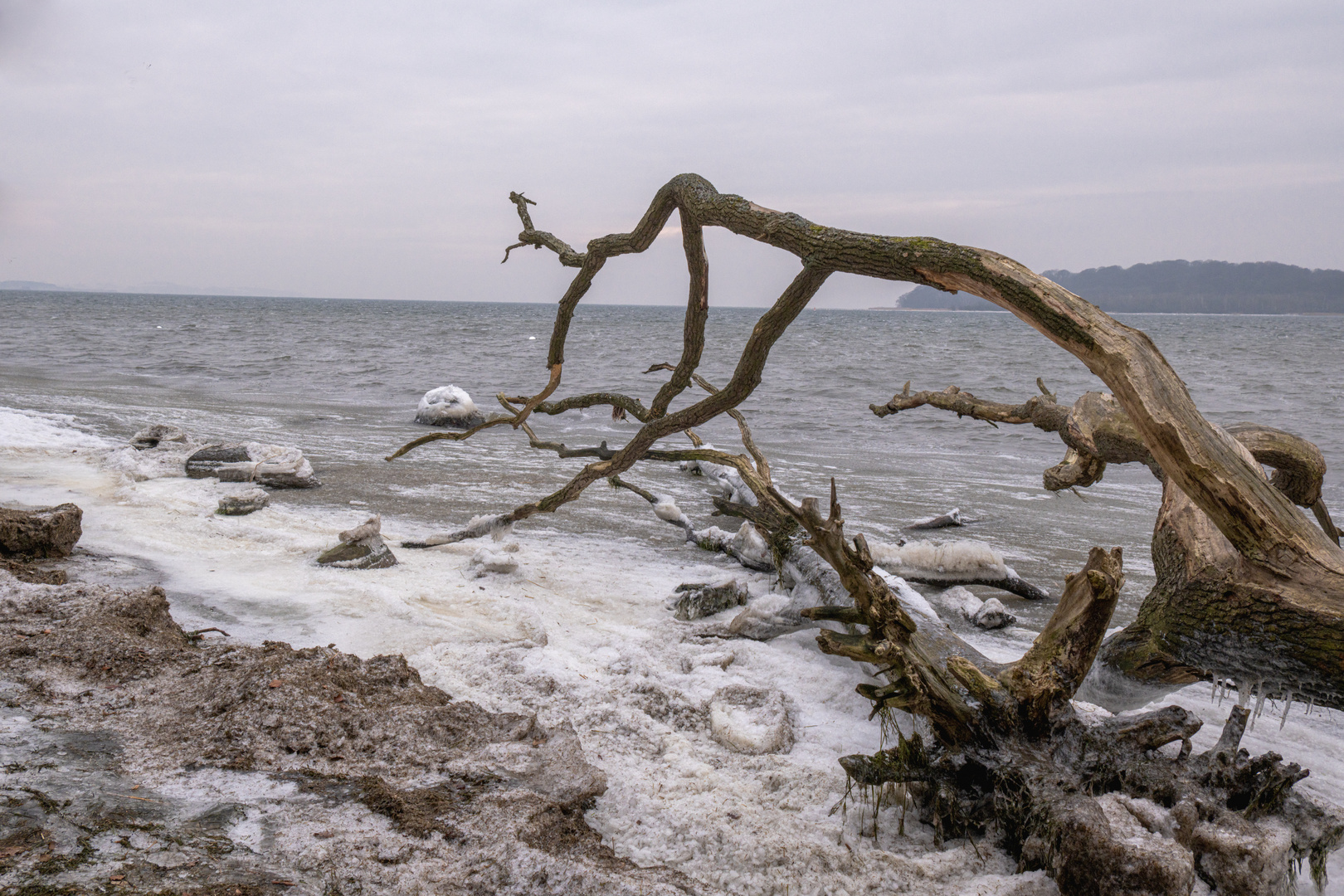 Winter auf Rügen