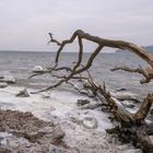 Winter auf Rügen