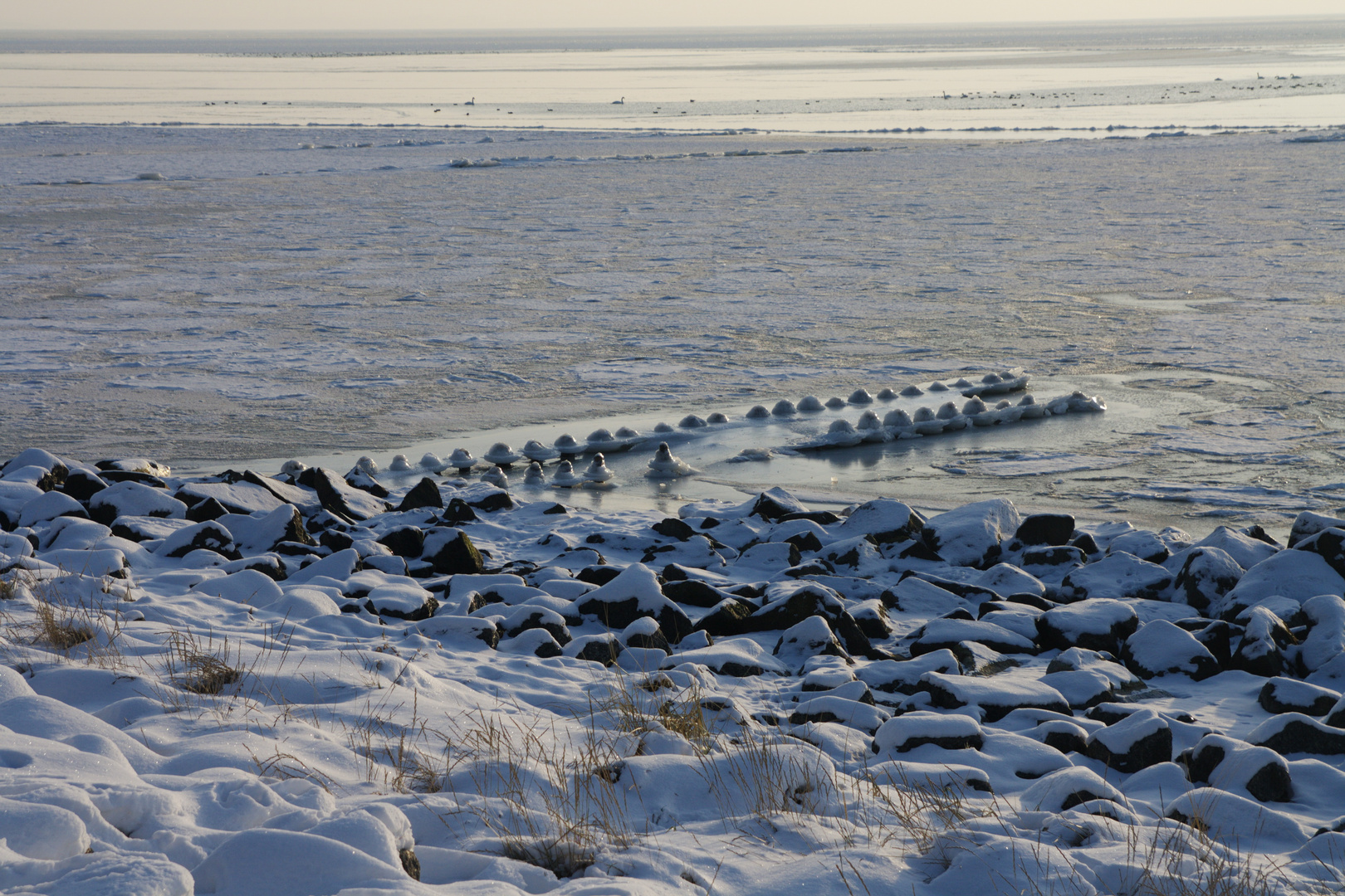 Winter auf Rügen - Thiessow 2