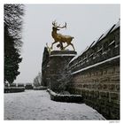 Winter auf Schloss Drachenburg...