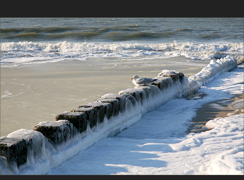 Winter auf Sylt