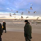 Winter auf Usedom