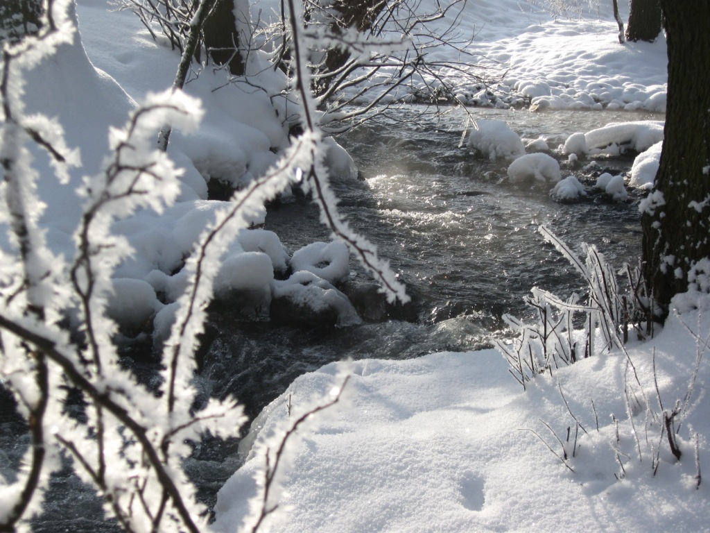 Winter aus dem Archiv 2