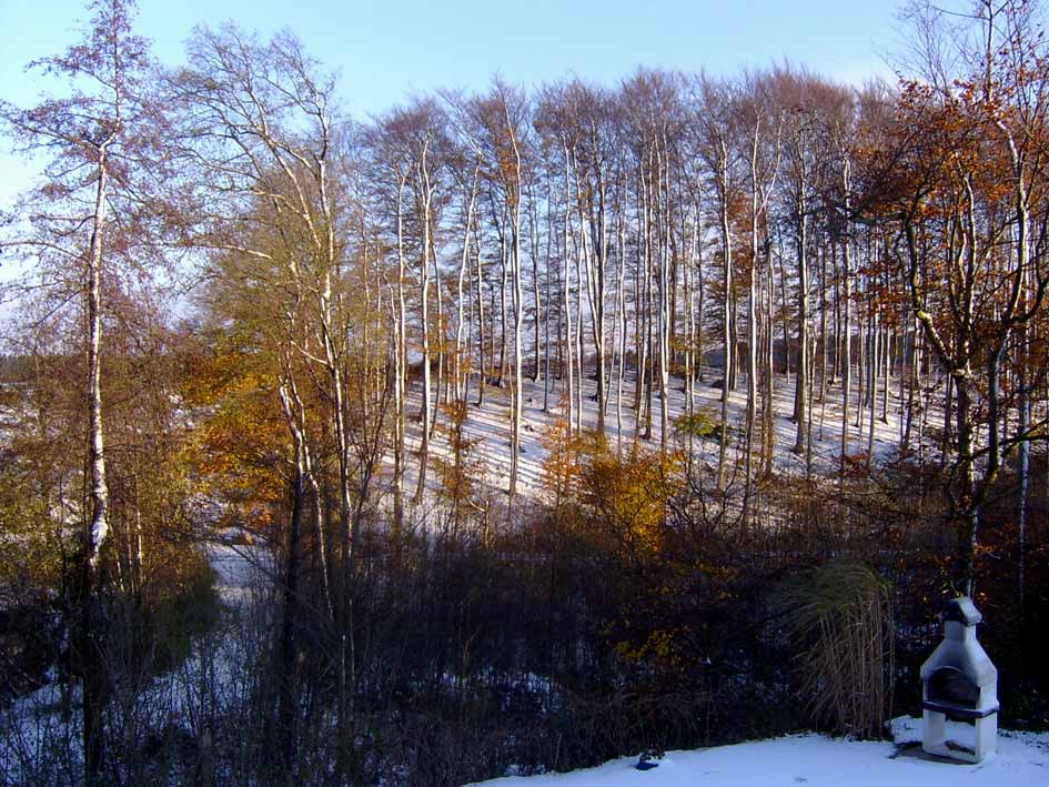 Winter aus dem Küchenfenster