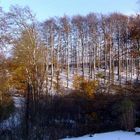 Winter aus dem Küchenfenster