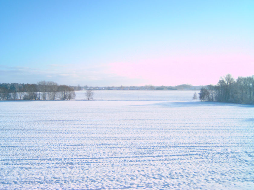 Winter aus meinem Fenster