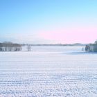 Winter aus meinem Fenster