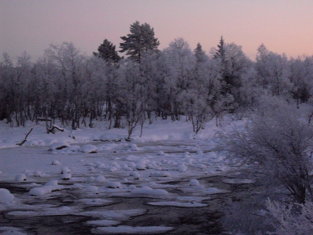 Winter by Yunus Finn 