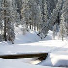 Winter-Bächlein auf dem Langis