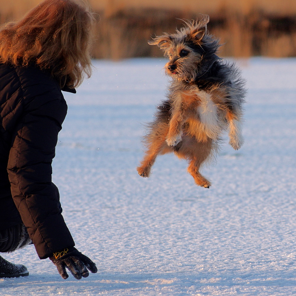 Winter-Ballett...