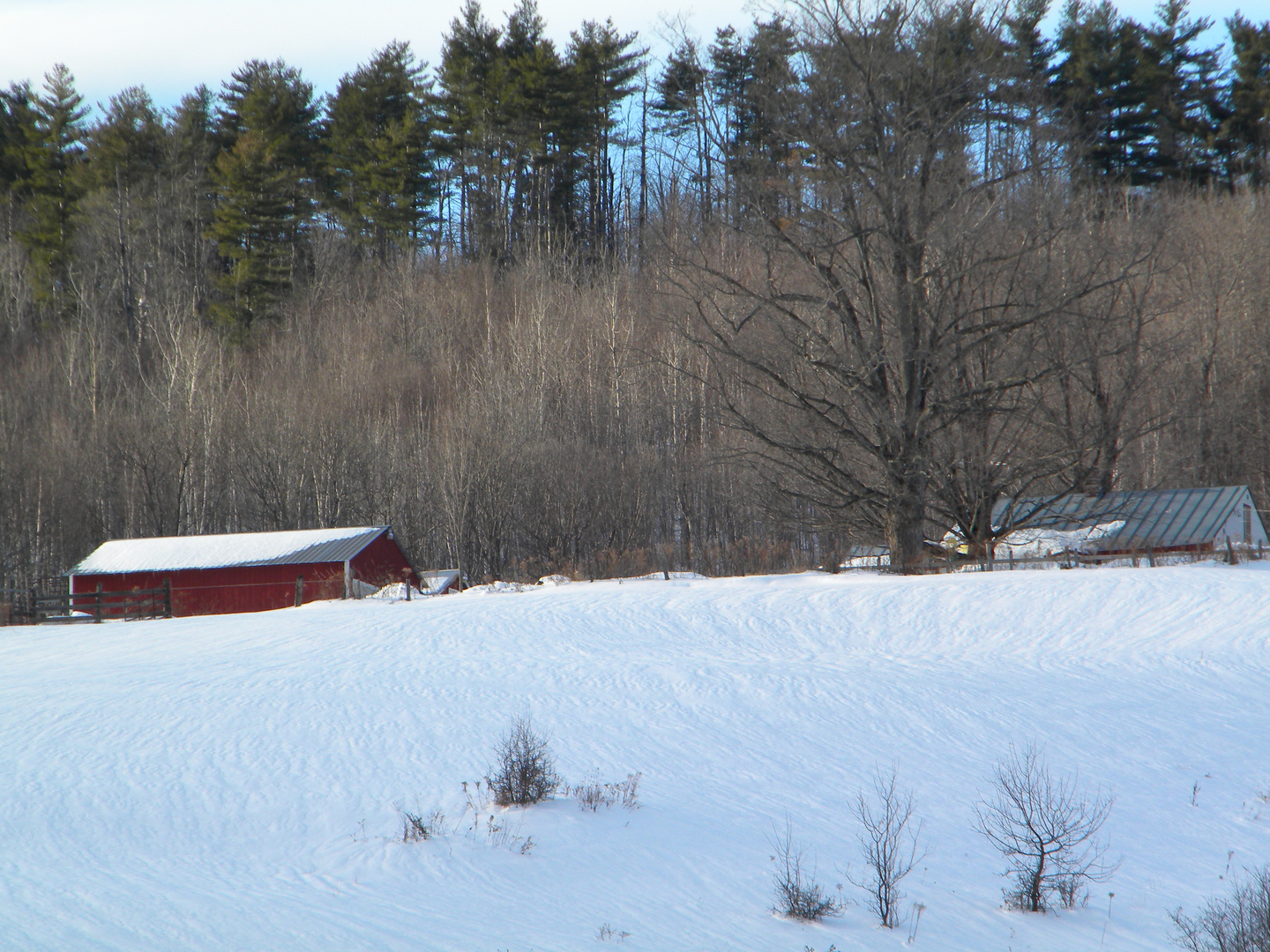 Winter Barn