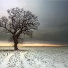 Winter Baum