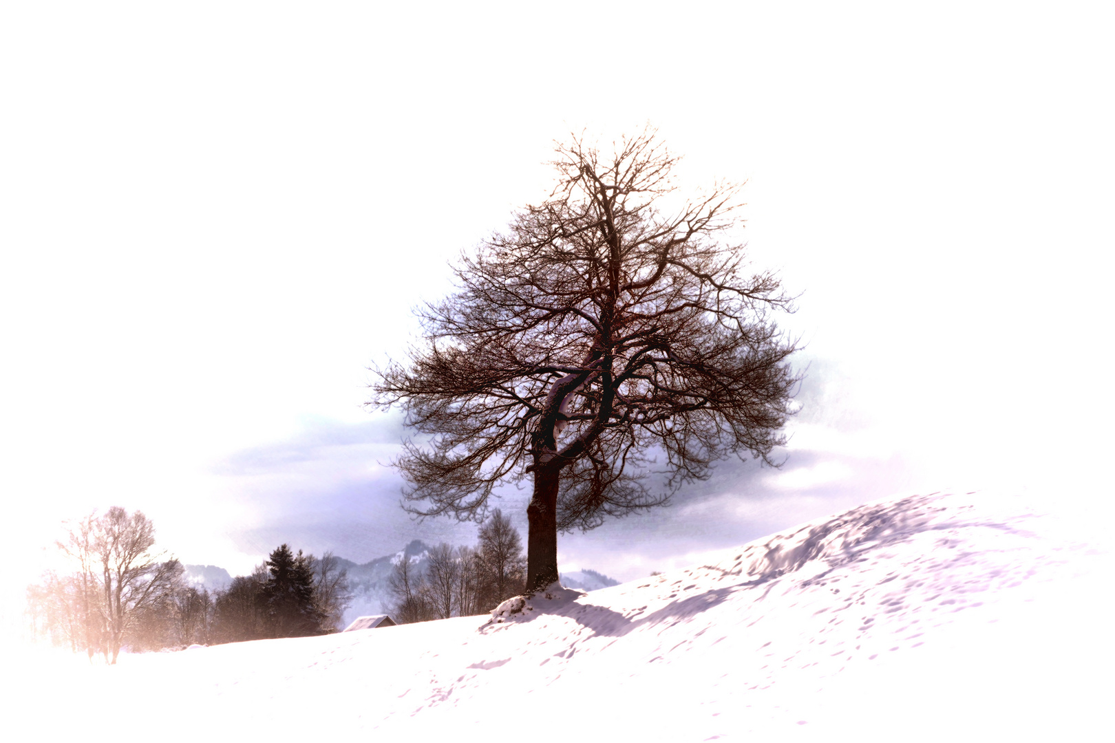 Winter Baum