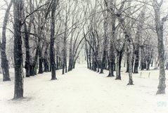 Winter?