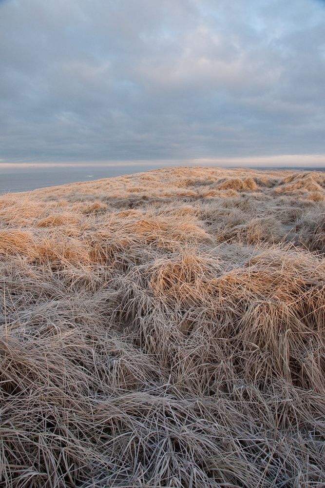 Winter Beach