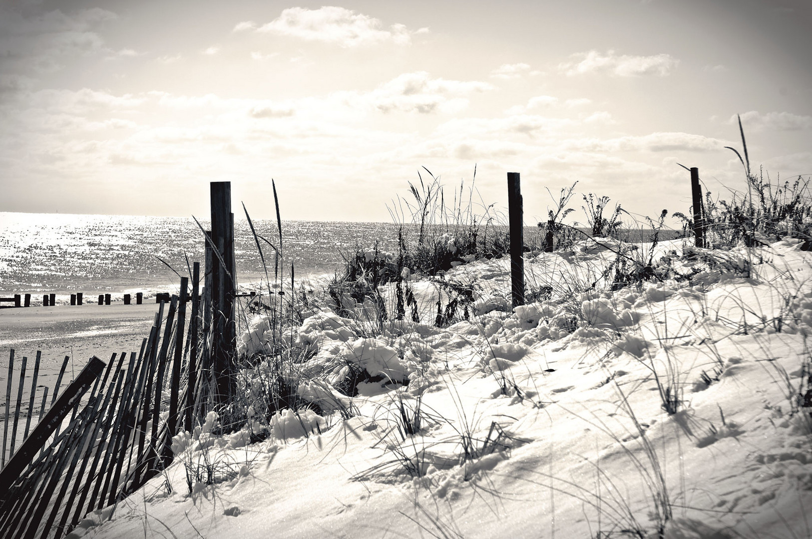 Winter Beach