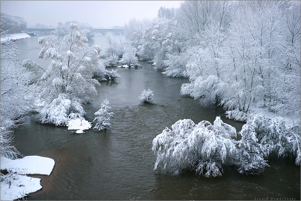 Winter beauty