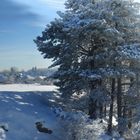 Winter bei Albstadt-Burgfelden