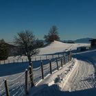 Winter bei Bad Kohlgrub