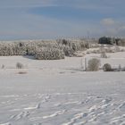 Winter bei Bad Steben