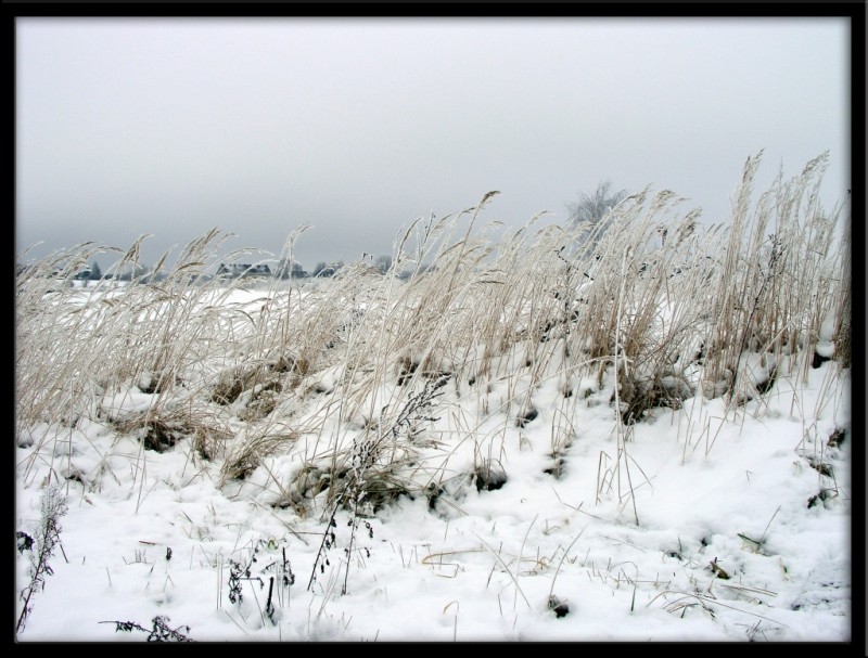 Winter bei Berlin