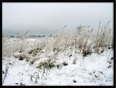 Winter bei Berlin