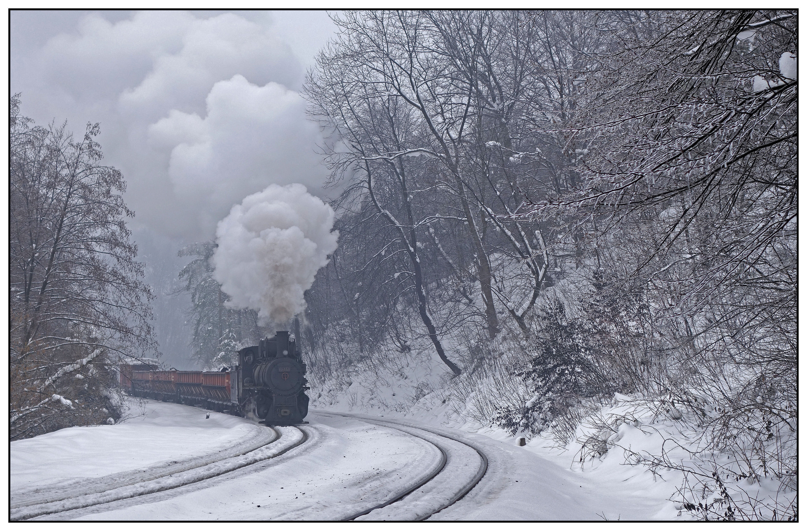 Winter bei der Kohlebahn