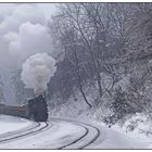 Winter bei der Kohlebahn