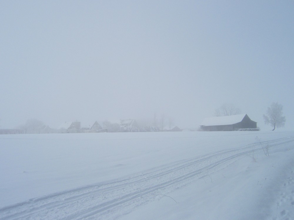 Winter bei Irmannsweiler